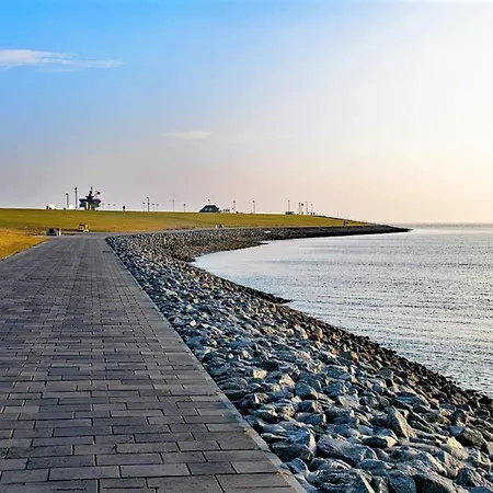 Krebs Büsum